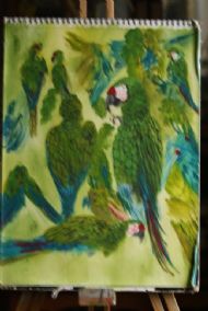 Macaws Green